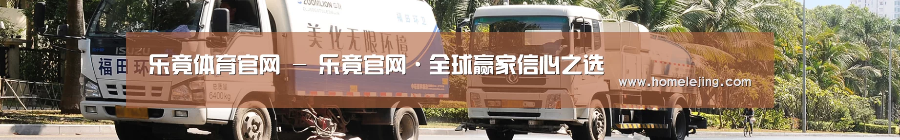 成功案例
