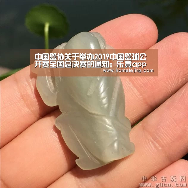 乐竟官网
