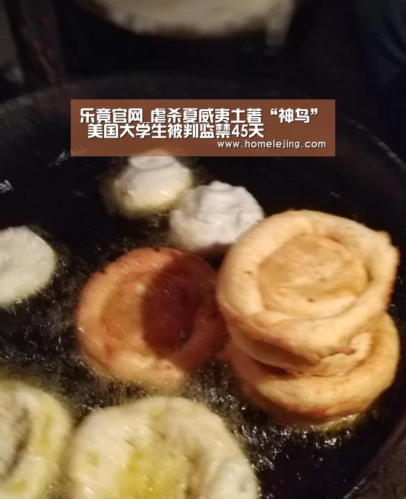 乐竟app